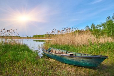 Eski, yıpranmış yeşil ahşap bir kayık uzun kamışlarla çevrili, çimenli bir nehir kıyısında duruyor. Sakin su ve uzak bir sahil sakin, kırsal manzarayı tamamlıyor..