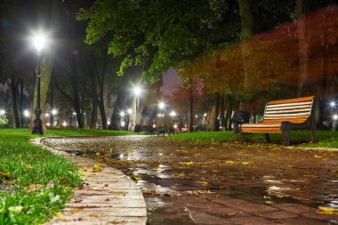 Wet park path illuminated by lampposts at night. Empty bench and fallen leaves create a peaceful autumn atmosphere.