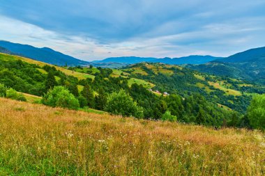 Renkli kır çiçekleri ve otlarla dolu yüksek bir dağ çayırından manzara. Katmanlı orman tepeleri ve uzak mesafeler bulutlu bir gökyüzünün altında görülebilir..