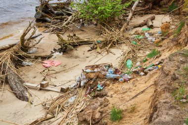 Plastik şişeler, çöpler ve sazlıklar arasında kumlara saçılmış sürüklenen dallarla kirlenmiş bir nehir kıyısı. Görüntü, insan faaliyetlerinin doğal ekosistemler üzerindeki çevresel etkisini vurgular..