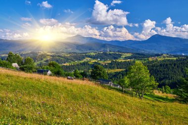 Çimen ve kır çiçekleriyle dolu güneşli bir dağ çayırında kıvrılan toprak bir patika boyunca manzara. Mavi gökyüzünün altında bulutlarla görülebilen orman tepeleri.
