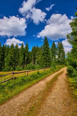 Geleneksel konik saman yığını ağaçlarla benekli çimenli bir dağ yamacında duruyor. Arka planda, bulutlu bir gökyüzünün altında görünen orman tepeleri. Kırsal yaz sahnesi.
