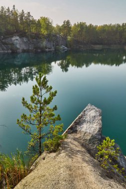 Korostyshiv Kanyonu 'nun kenarında küçük bir çam ağacı ve büyük bir granit kaya. Sakin turkuaz su uzak orman kayalıklarını yansıtır. Huzurlu doğa sahnesi.