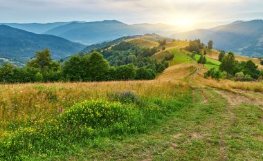 Renkli kır çiçekleri ve otlarla dolu yüksek bir dağ çayırından manzara. Katmanlı orman tepeleri ve uzak mesafeler bulutlu bir gökyüzünün altında görülebilir..
