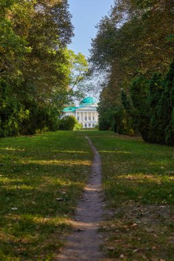 Ukrayna 'daki tarihi Halagan Sarayı' nın (Sokyryntsi Sarayı) manzarası, ağaçlarla kaplı bir park yolunun sonunda görülüyor. Belirgin bir kubbesi olan klasik mimari.