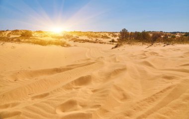 Lastik izleri ve seyrek bitki örtüsü olan kum tepecikleri. Açık mavi gökyüzünün altında çöl gibi bir ortam..