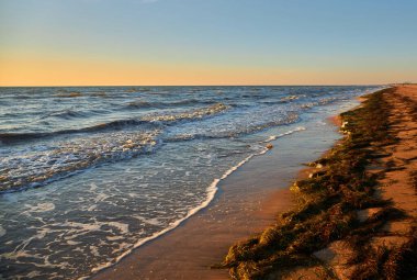 Deniz yosunlarının kıyıya vurduğu kumlu bir sahil manzarası. Gün batımının altın saatinde berrak bir gökyüzü altında hafif dalgalar kıyı şeridini kaplar..