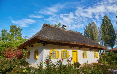 Charming traditional Ukrainian whitewashed house with a thatched roof and bright yellow window shutters, surrounded by a blooming garden under a blue sky.