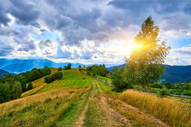 Çamur izi, önde gelen bir huş ağacı ve ahşap çitin bulunduğu çimenli bir dağ sırtı boyunca uzanıyor. Katmanlı orman sıraları dramatik bulutlu bir gökyüzünün altında görünür..