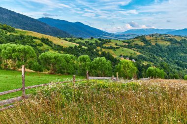 Dağ çayırından manzaralı kır çiçekleri ve kuru otlarla, kırsal ahşap bir çitin üzerinden bulutlu bir gökyüzünün altındaki ormanlık tepelere doğru bakıyor. Kırsal alan.
