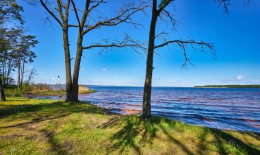 Güneşli bir günde kırmızı renkli bir gölün kıyısında iki yapraksız ağaç duruyor. Su mavi gökyüzünü ve dağınık bulutları yansıtır. Arka planda sazlıklar ve uzak tepeler vardır..