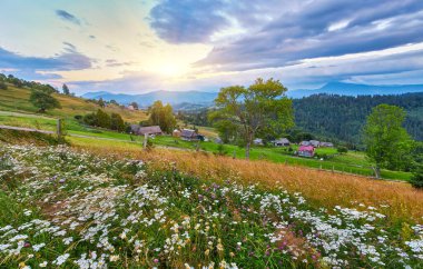 Yeşil yamaçlardaki bir köye bakan kır çiçekleriyle dolu bir dağ çayırından manzaralı dikey manzara. Bulutlu gökyüzünün altında katmanlı dağlar.