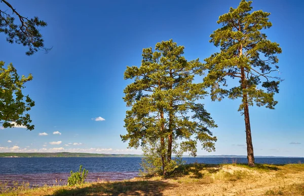 Ormanla çevrili sakin bir gölün panoramik manzarası. Sağdan yükselen uzun çam ağaçları, parlak mavi bir gökyüzü ve ön planda kırmızımsı bir kıyı şeridi ile.