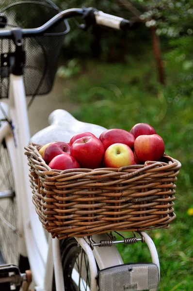 Rote Äpfel Einem Korb Auf Einem Weißen Fahrrad Stockbild