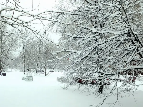 Parque Cidade Após Queda Neve Dia — Fotografia de Stock