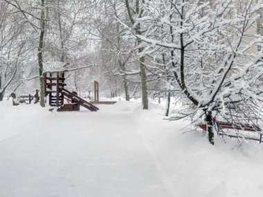 Şehir parkında kar yağdıktan sonra gündüz