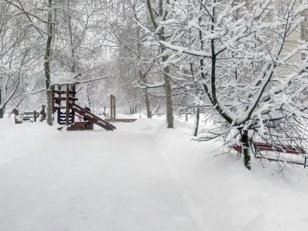 Şehir parkında kar yağdıktan sonra gündüz