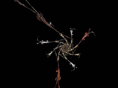 Dijital illüstrasyon vektör çizim