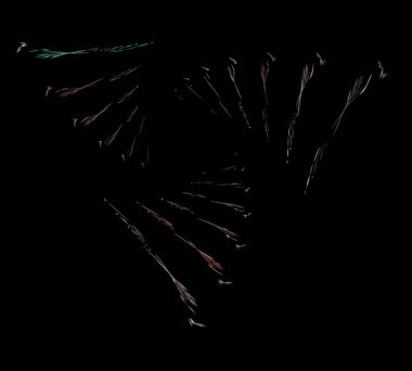 Dijital illüstrasyon vektör çizim