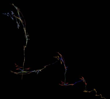 Dijital illüstrasyon vektör çizim