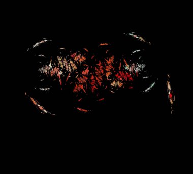 Dijital illüstrasyon vektör çizim