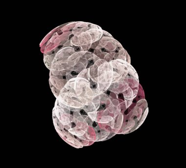 Dijital illüstrasyon vektör çizim