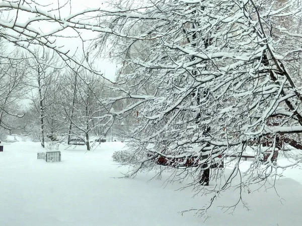 Parque Cidade Após Queda Neve Dia — Fotografia de Stock