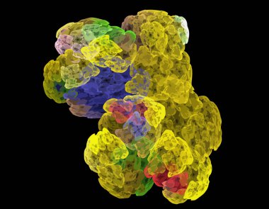 Dijital illüstrasyon vektör çizim