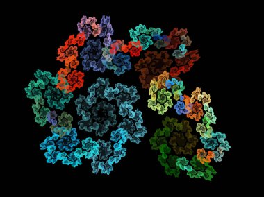 Dijital illüstrasyon vektör çizim