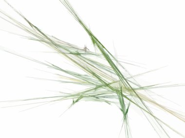 Dijital illüstrasyon vektör çizim