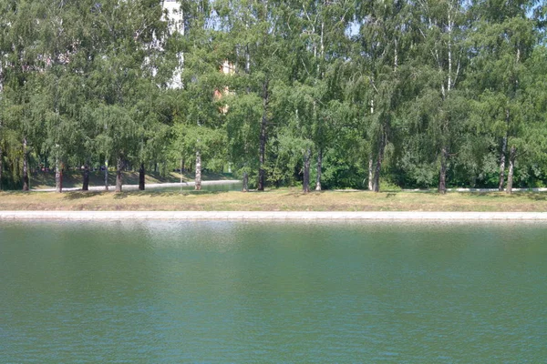 Sommar Stadsparken — Stockfoto