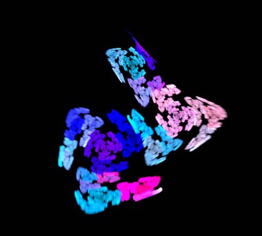 Siyah Renk Üzerine Bir Dijital Fraktal Resmi