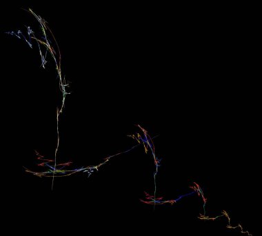 Siyah Renk Üzerine Bir Dijital Fraktal Resmi