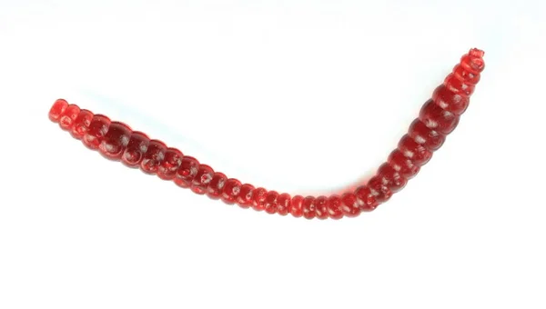 Brinquedo Earthworm Plástico Macio — Fotografia de Stock