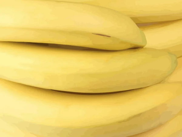 Muitas Bananas Amarelas Durante Dia — Vetor de Stock