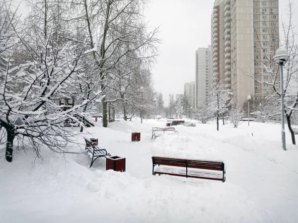 Parque Cidade Após Queda Neve Dia — Fotografia de Stock