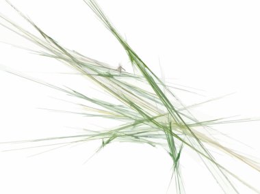 Siyah Renk Üzerine Bir Dijital Fraktal Resmi