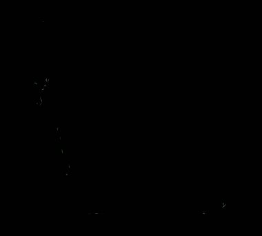 Dijital illüstrasyon vektör çizim