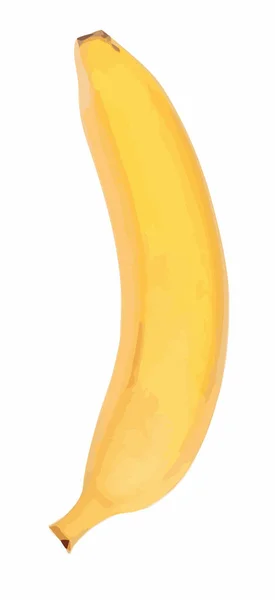 Banane Jaune Crue Isolée — Image vectorielle