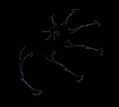 Siyah Renk Üzerine Bir Dijital Fraktal Resmi