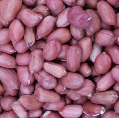 Gün itibariyle Arachis arka plan