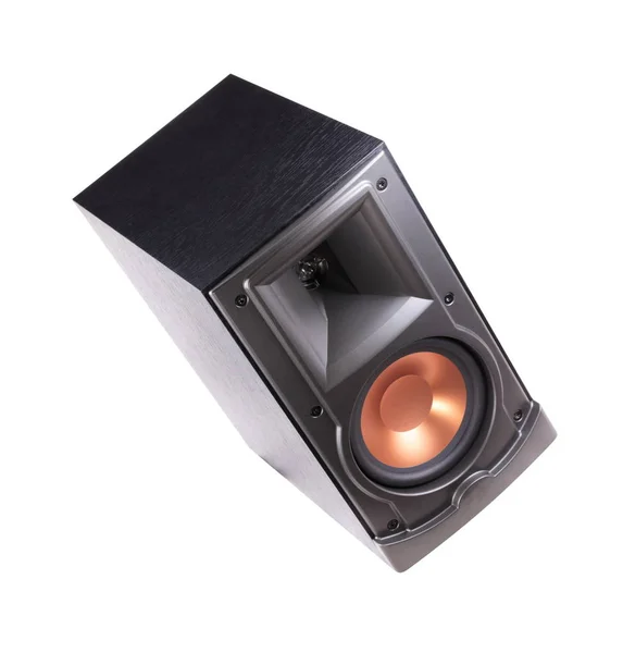 Speaker Isolated Day — Stock Photo, Image