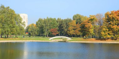 Sonbaharda park et, tamam.