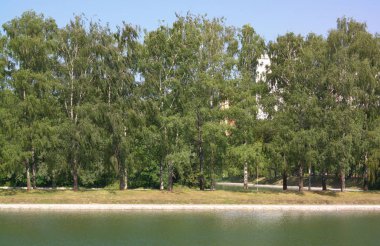 Şehir parkında yaz