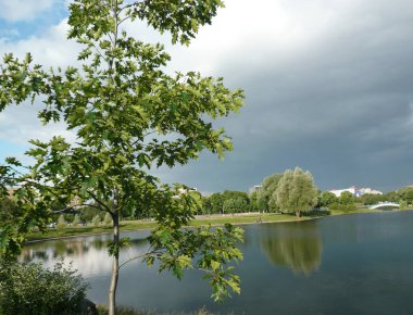 Yaz günü şehir parkında