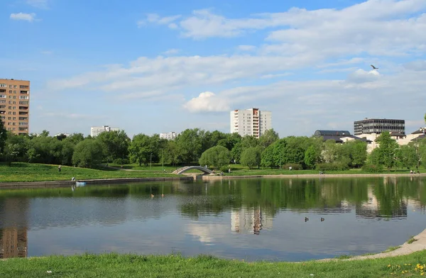 Nyár Városi Parkban Nap — Stock Fotó