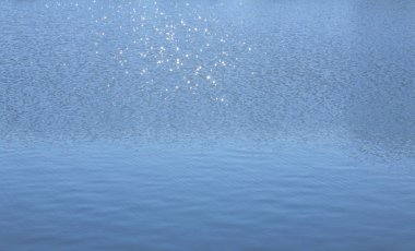 Şehir parkındaki gölette parlıyor