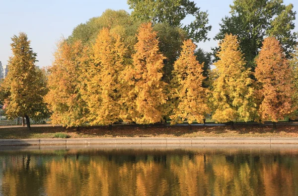 Park Miejski Złocie Jesień — Zdjęcie stockowe