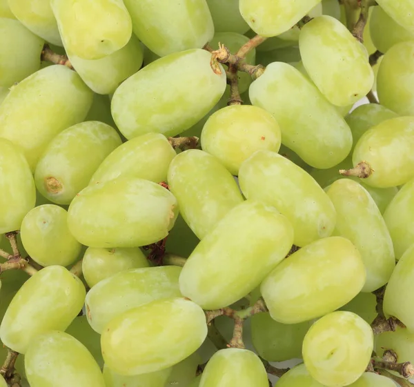 Uvas Verdes Día — Foto de Stock