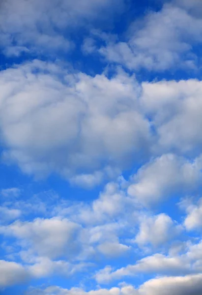 Cloud Blue Sky — Stock Photo, Image